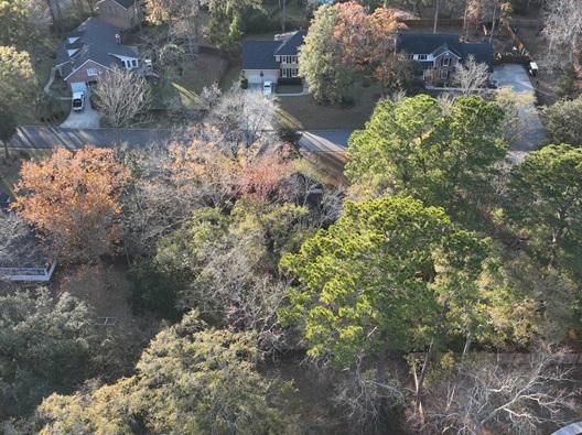 Image indicates image in position 1